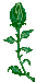 flower.gif (2779 bytes)
